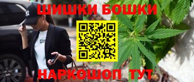 прущие грибы Канаш