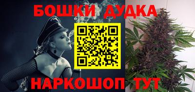 прущие грибы Канаш