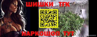 прущие грибы Канаш