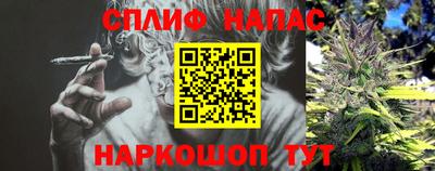 прущие грибы Канаш