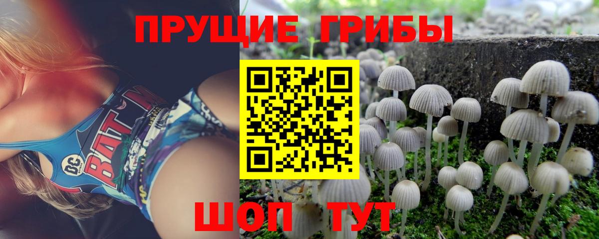 Галлюциногенные грибы мухоморы  Вход с VPN  Улан-Удэ 